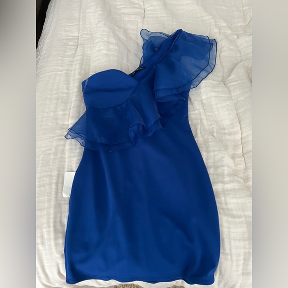 Organza One Shoulder Ruffle Mini Dress - Picture 4 of 6